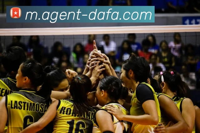 大发彩票APP 封面图